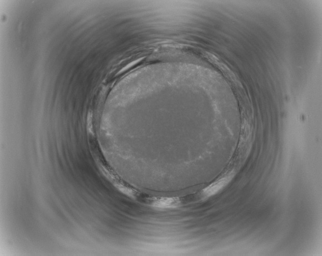 X0000085220096200704091943