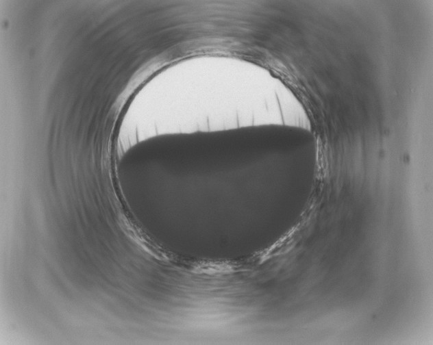 X0000085220099200704091942