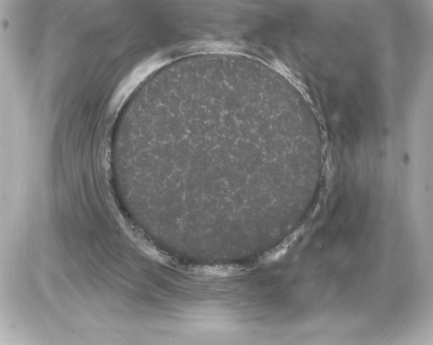 X0000085220103200704091942