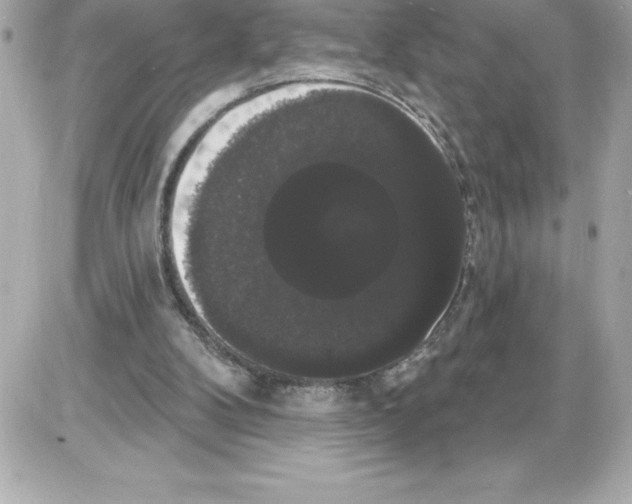 X0000085220104200704091942