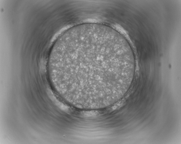 X0000085220106200704091942