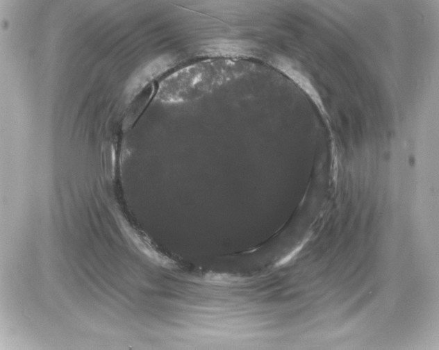 X0000085220109200704091942