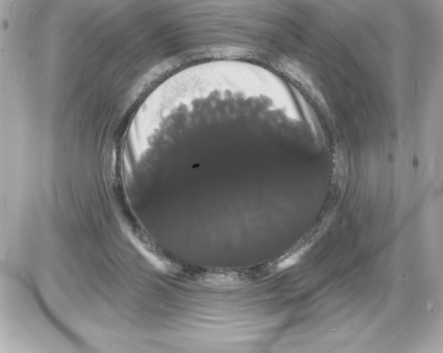 X0000085220110200704091942