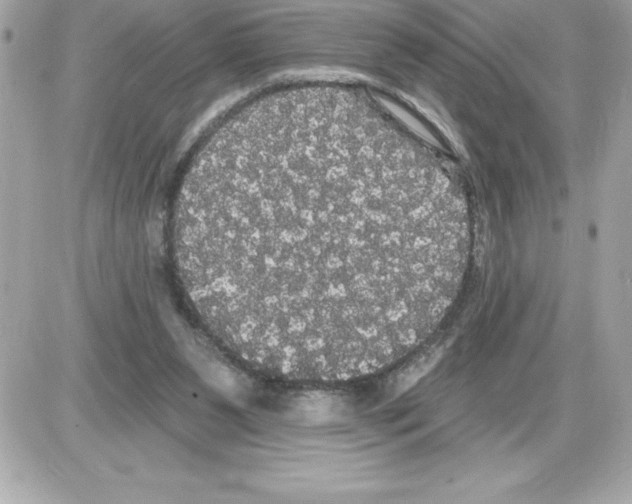 X0000085220111200704091942