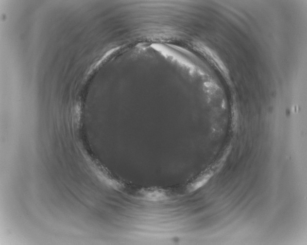 X0000085220113200704091942