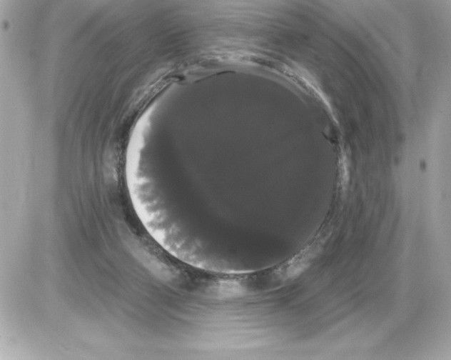 X0000085220114200704091942