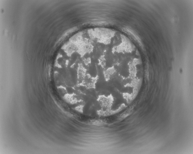 X0000085220115200704091942