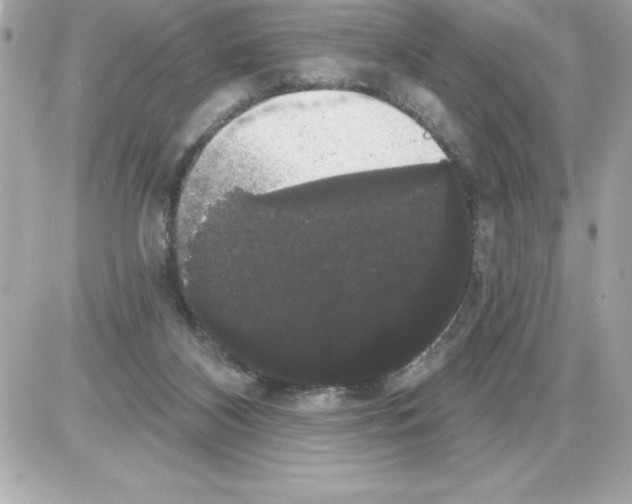 X0000085220116200704091942