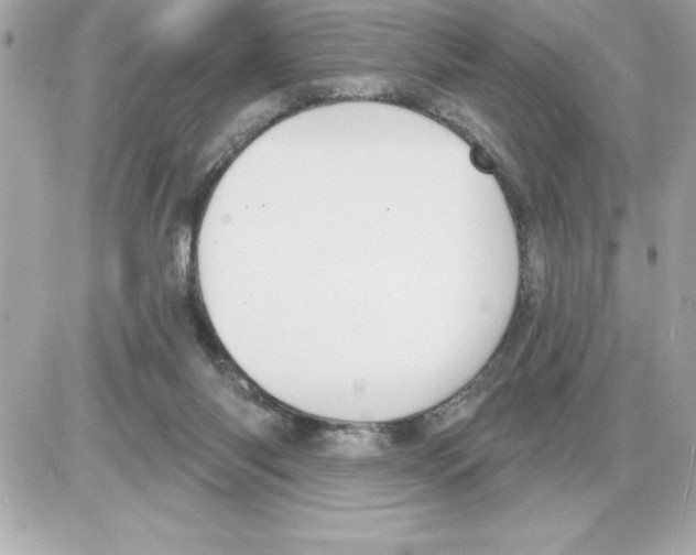 X0000085220118200704091942