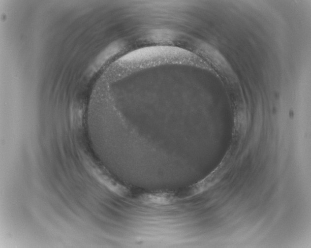 X0000085220120200704091942