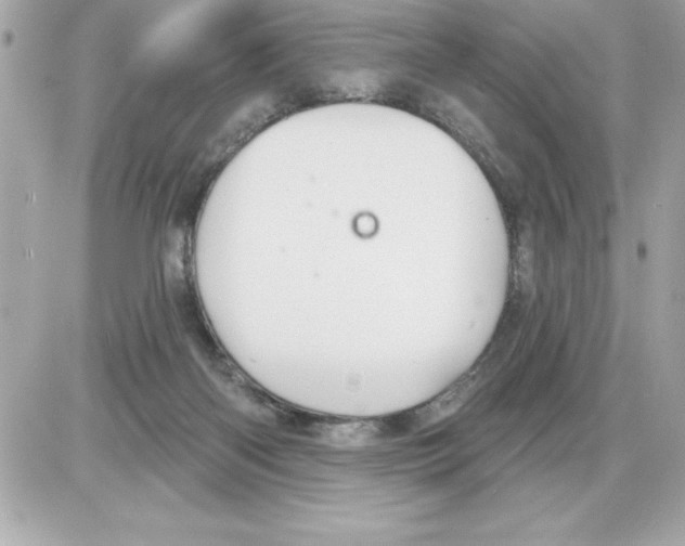 X0000085220122200704091942