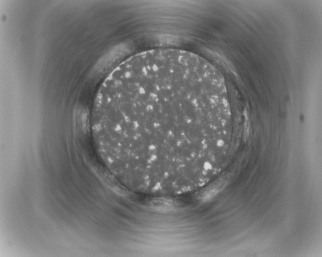 X0000085220123200704091942