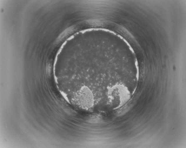 X0000085220124200704091942