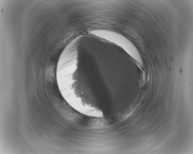 X0000085220127200704091942