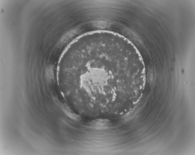 X0000085220128200704091942