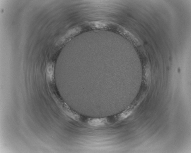 X0000085220129200704091941