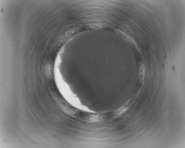 X0000085220130200704091941