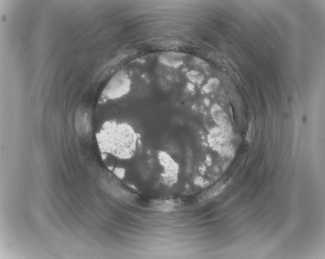 X0000085220131200704091941