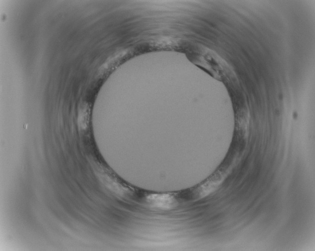 X0000085220133200704091941