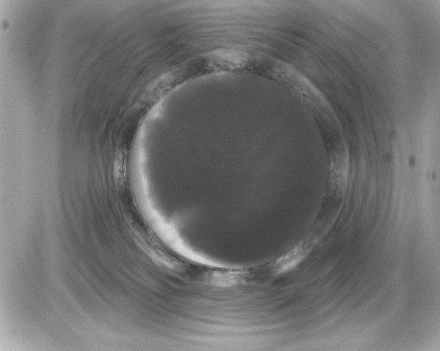 X0000085220134200704091941