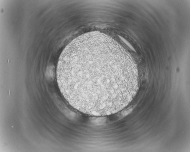 X0000085220135200704091941