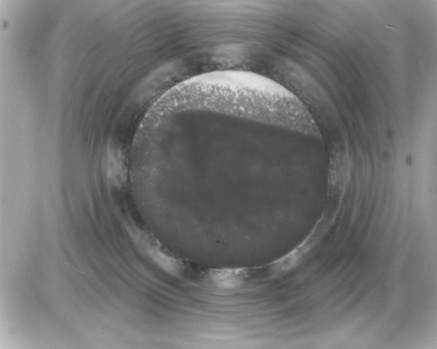 X0000085220136200704091941