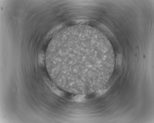 X0000085220138200704091941