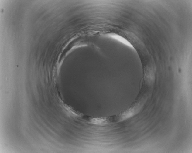 X0000085220139200704091941