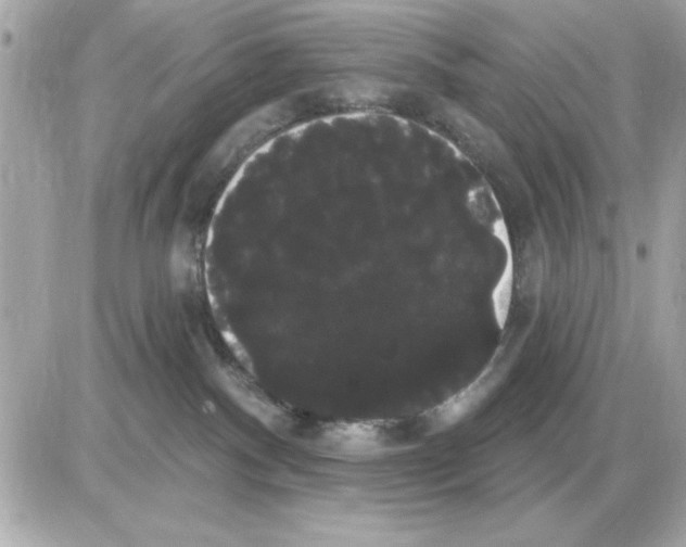 X0000085220140200704091941