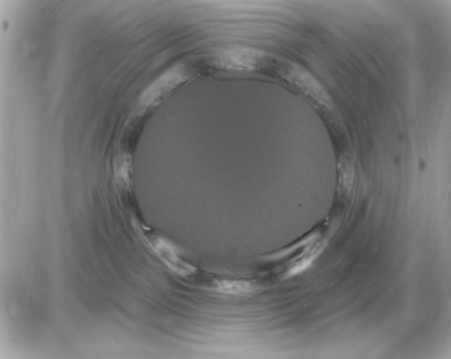 X0000085220141200704091941