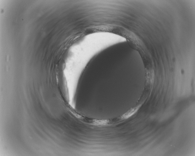 X0000085220143200704091941