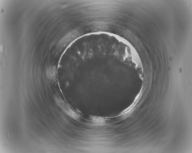 X0000085220144200704091941