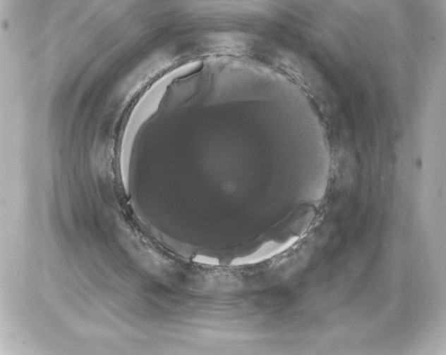 X0000085220146200704091940