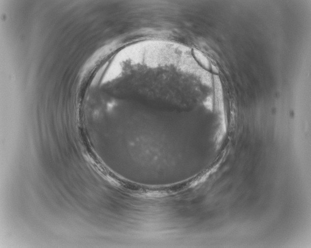 X0000085220149200704091940