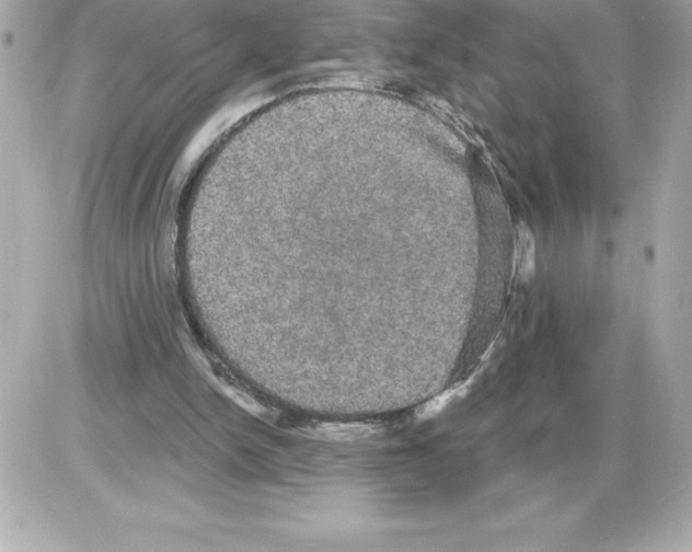 X0000085220150200704091941