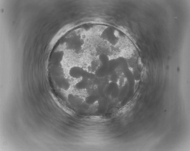 X0000085220151200704091941