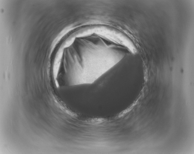 X0000085220152200704091941