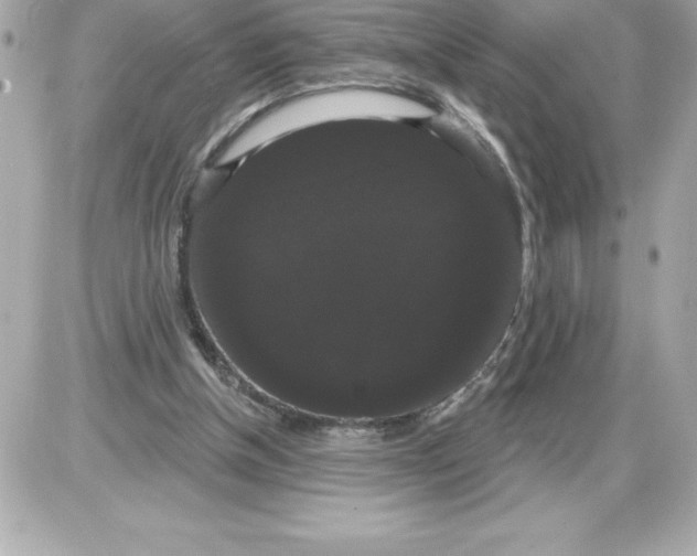 X0000085220154200704091941