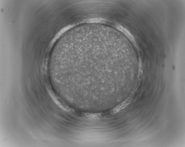 X0000085220155200704091941