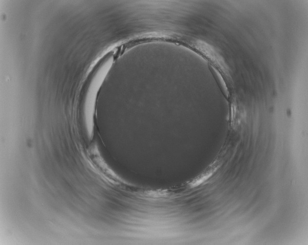 X0000085220156200704091941