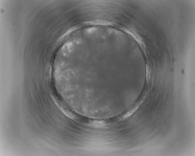 X0000085220157200704091941