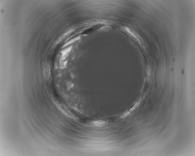 X0000085220158200704091941