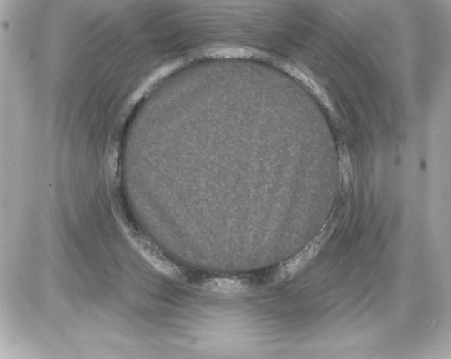 X0000085220159200704091941