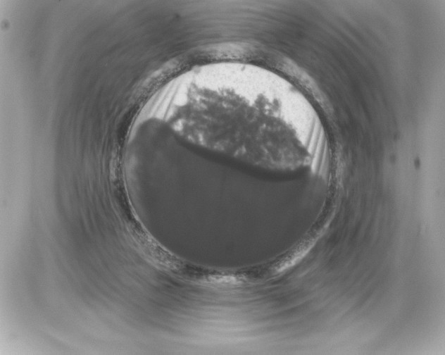 X0000085220161200704091941