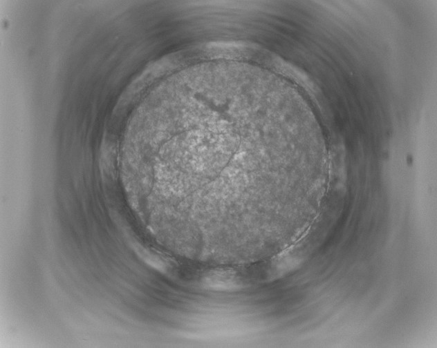 X0000085220162200704091941