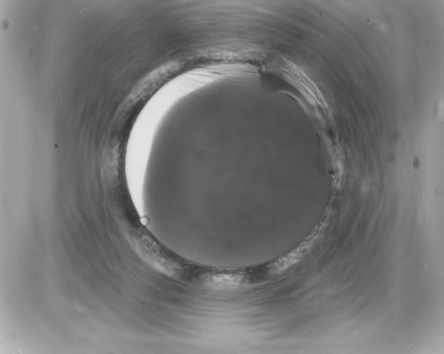 X0000085220163200704091941