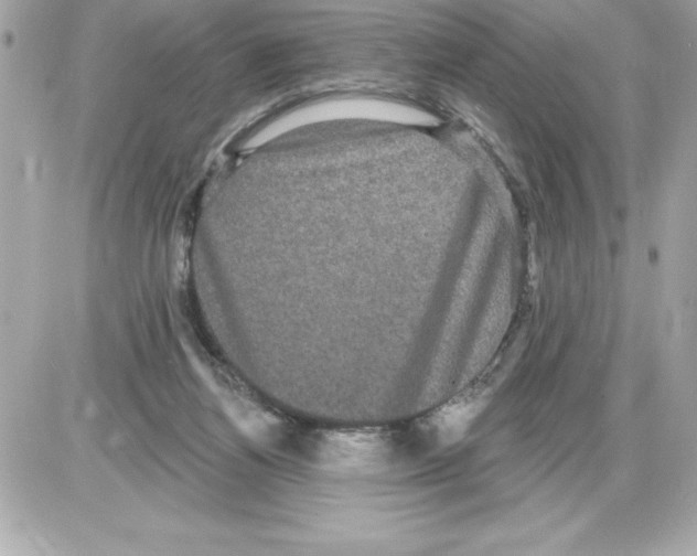 X0000085220164200704091941