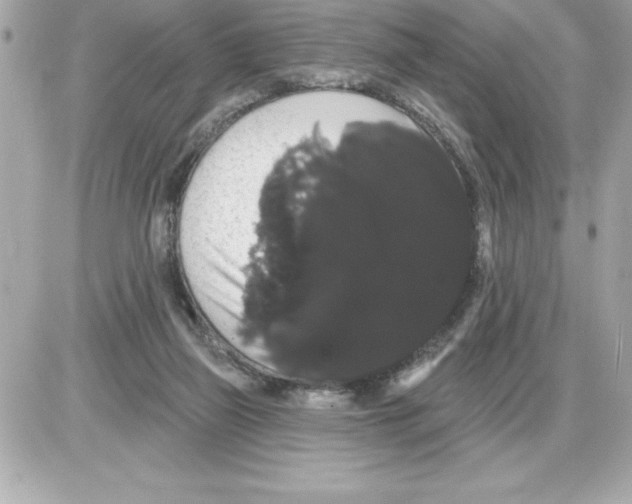 X0000085220165200704091941