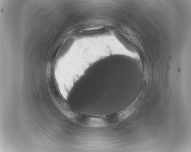 X0000085220167200704091941