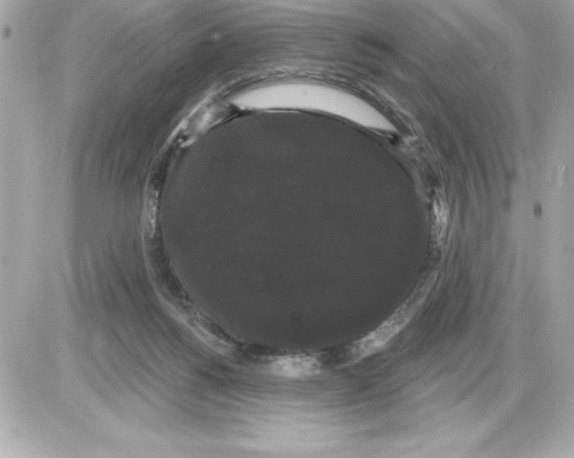 X0000085220168200704091941